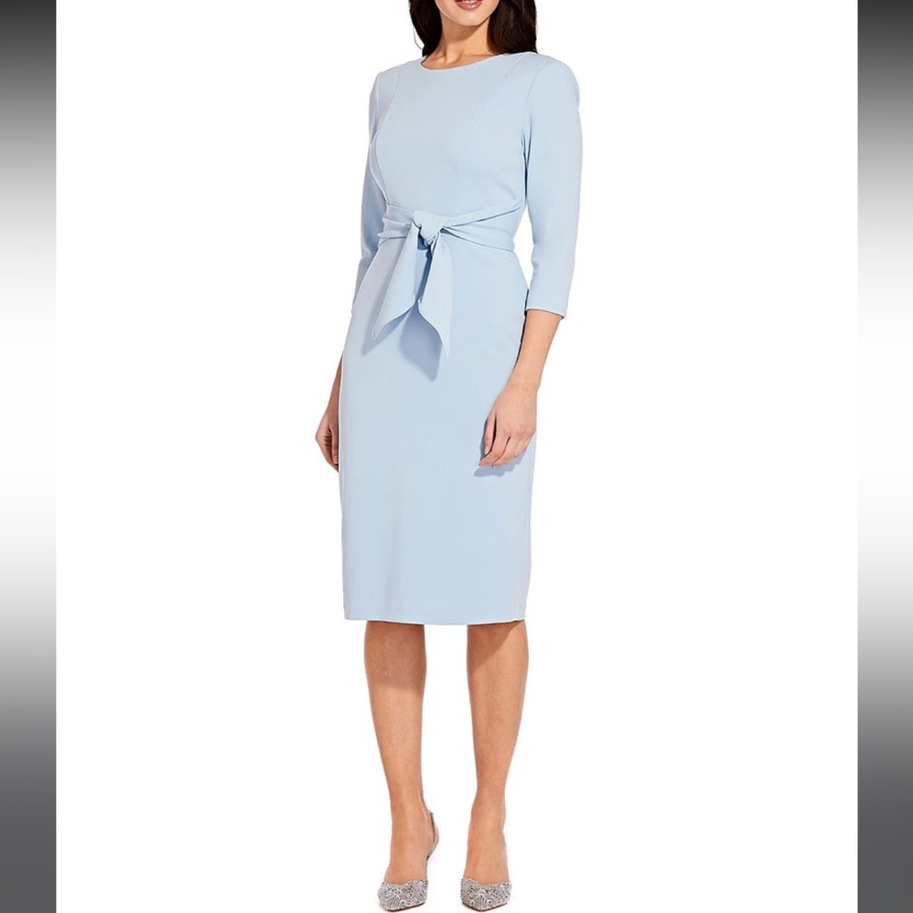 Adrianna Papell Soft Blue Long Sleeve Dress